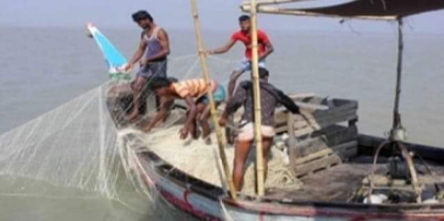 আগামী ১৪ অক্টোবর থেকে ২২ দিন ইলিশ শিকারে নিষেধাজ্ঞা