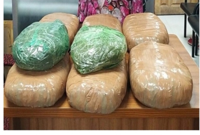 ১৬ কেজি গাঁজাসহ ৩ মাদক ব্যবসায়ী গ্রেফতার