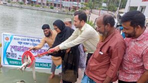 কাউখালীতে পোনা মাছ অবমুক্ত করণ