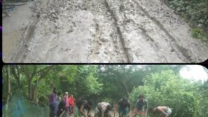 তালতলীতে কাঁচা রাস্তায় ধানের বীজ লাগিয়ে এলাকাবাসীর প্রতিবাদ