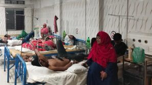 মশারী ছাড়া হাসপাতালে ভর্তি ডেঙ্গু রুগী ঝালকাঠিতে ডেঙ্গু, আল্টাসোনগ্রাম পরিক্ষা বন্ধ