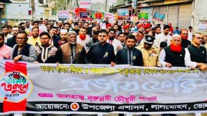 লালমোহনে যথাযোগ্য মর্যাদায় আন্তর্জাতিক মাতৃভাষা দিবস উদযাপিত