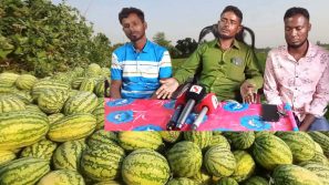 লালমোহনে তরমুজ চাষিদের থেকে ১৫ লাখ টাকা হাতিয়ে নেওয়ার অভিযোগ