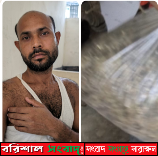 বাকেরগঞ্জে ১ কেজি গাজাসহ মাদক ব্যবসায়ী জুলহাস মোল্লা আটক