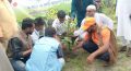 কুয়াকাটায় প্রধানমন্ত্রী ঘোষিত বৃক্ষরোপণ কর্মসূচির উদ্বোধন।।