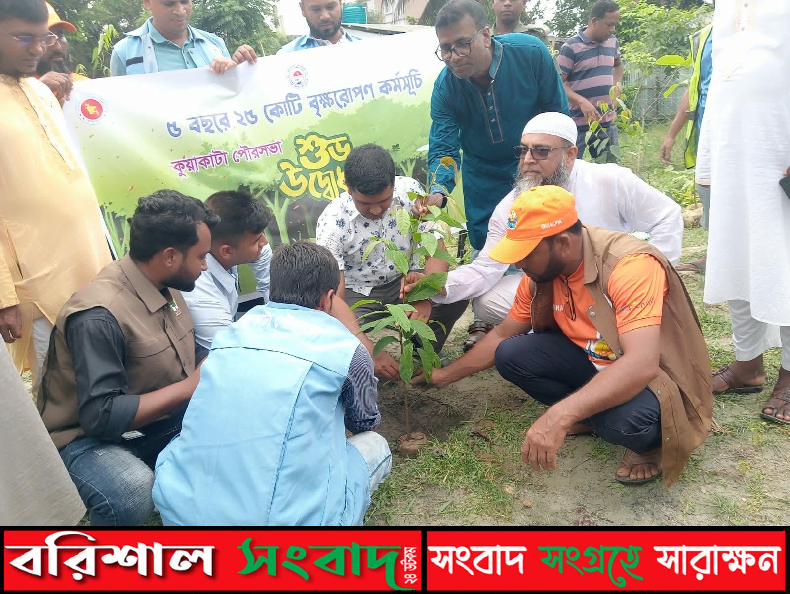 কুয়াকাটায় প্রধানমন্ত্রী ঘোষিত বৃক্ষরোপণ কর্মসূচির উদ্বোধন।।