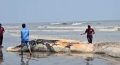 কুয়াকাটা সৈকতে ভেসে এলো ৫৮ ফুট দৈর্ঘ্যের বিশাল মৃত তিমি