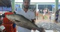 বঙ্গোপসাগরে ধরা ৮ কেজির কালো পোয়া বিক্রি অর্ধলাখ টাকায়।