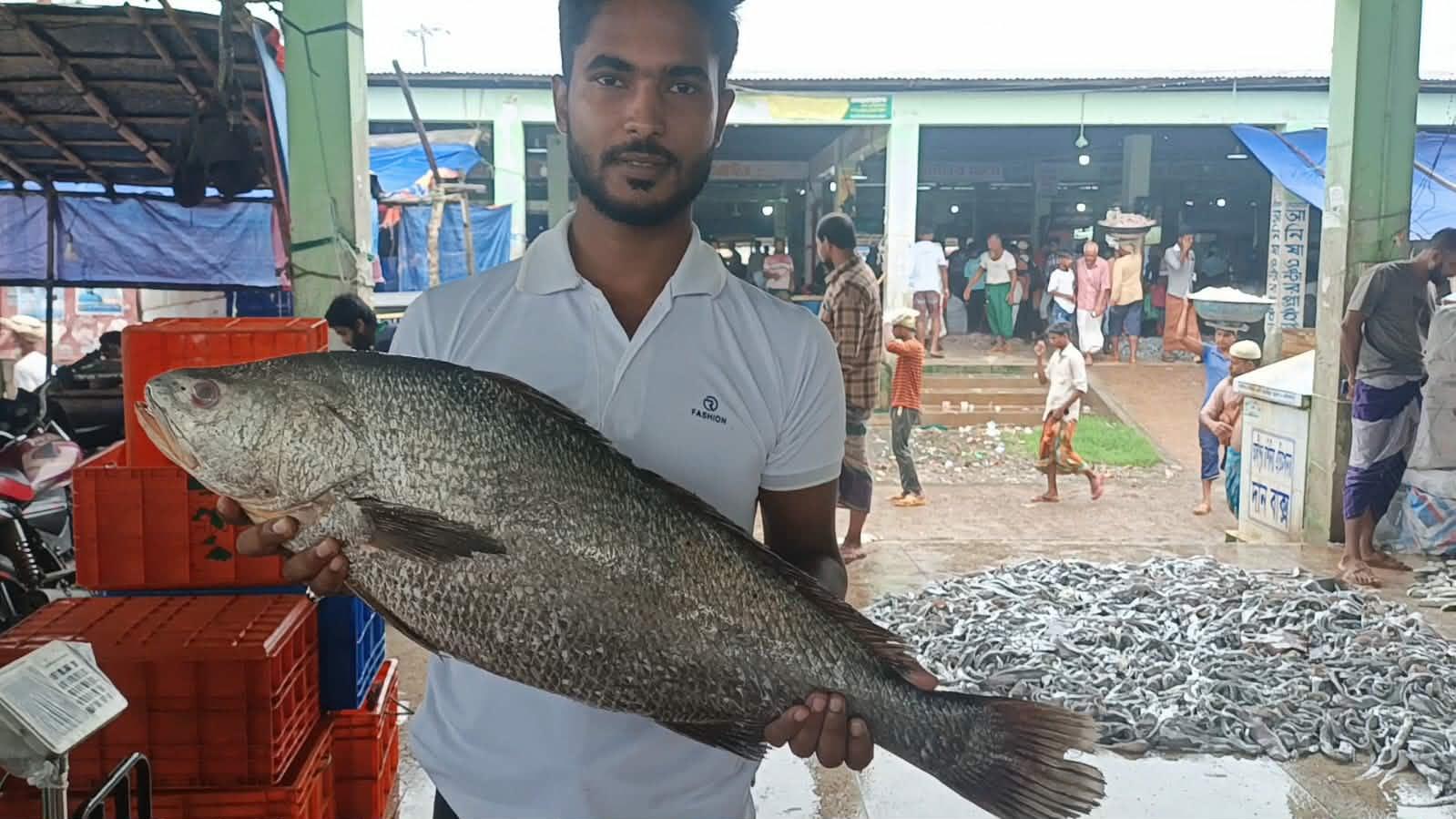 বঙ্গোপসাগরে ধরা ৮ কেজির কালো পোয়া বিক্রি অর্ধলাখ টাকায়।
