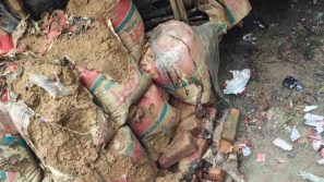 বরিশালের বাকেরগঞ্জে বোমা বিস্ফোরণ, দগ্ধ ৩ জন