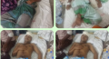 বরিশালে লাহারহাটে চাঁদা না পেয়ে টোল ইজারাদারসহ -৫ জনকে কুপিয়ে জখম
