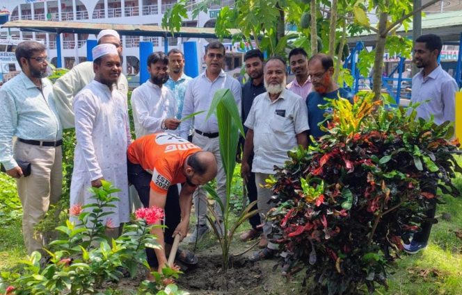 বরিশাল নদী বন্দর নিয়ন্ত্রণ কর্মকর্তাদের উদ্যোগে বৃক্ষরোপণ কর্মসূচি পালন