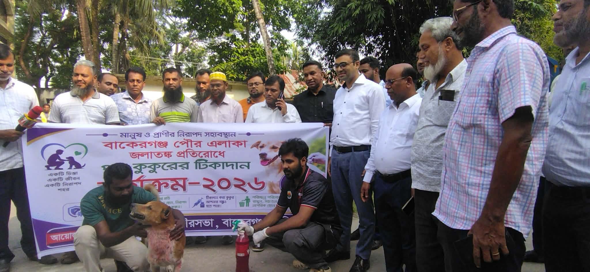 বাকেরগঞ্জে জলাতঙ্ক প্রতিরোধে পথ কুকুরদের টিকা প্রদান কর্মসূচি আরম্ভ।